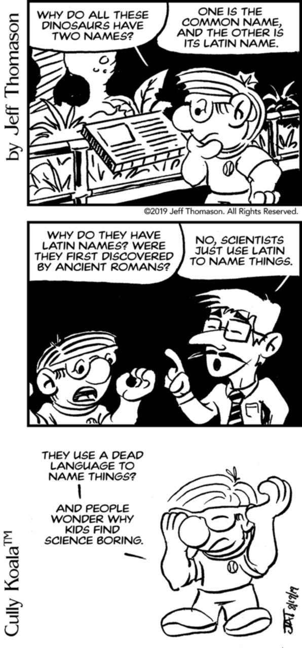 Comics